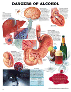 Dangers-of-Alcohol-chart 